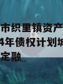 湖州市织里镇资产经营2024年债权计划城投债定融