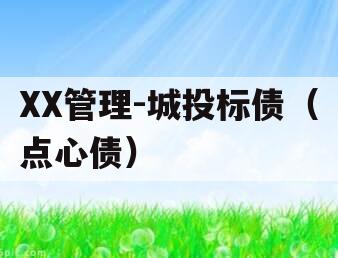XX管理-城投标债（点心债）