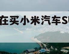 谁在买小米汽车SU7？