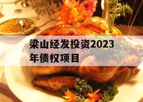 梁山经发投资2023年债权项目