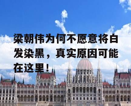 梁朝伟为何不愿意将白发染黑，真实原因可能在这里！