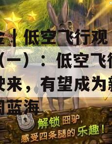中金 | 低空飞行观察（一）：低空飞行加速驶来，有望成为新的广阔蓝海