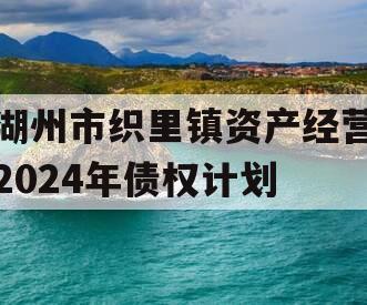湖州市织里镇资产经营2024年债权计划
