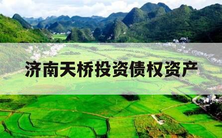 济南天桥投资债权资产