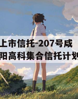 上市信托-207号咸阳高科集合信托计划
