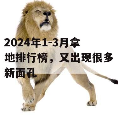 2024年1-3月拿地排行榜，又出现很多新面孔