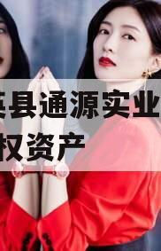 大英县通源实业2023债权资产