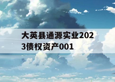 大英县通源实业2023债权资产001