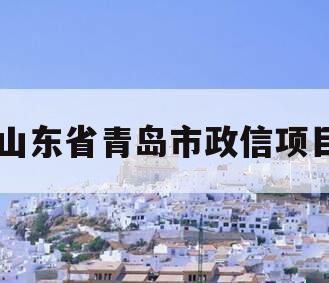 山东省青岛市政信项目