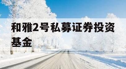和雅2号私募证券投资基金