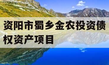 资阳市蜀乡金农投资债权资产项目