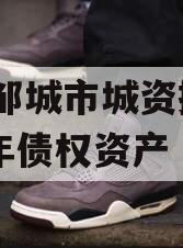 山东邹城市城资控股2024年债权资产