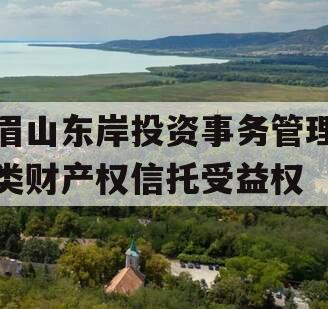 眉山东岸投资事务管理类财产权信托受益权