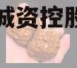 邹城市城资控股债权资产