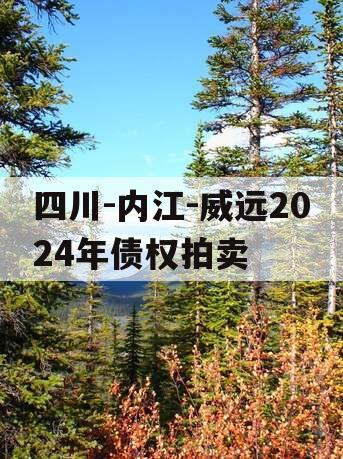 四川-内江-威远2024年债权拍卖