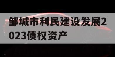 邹城市利民建设发展2023债权资产