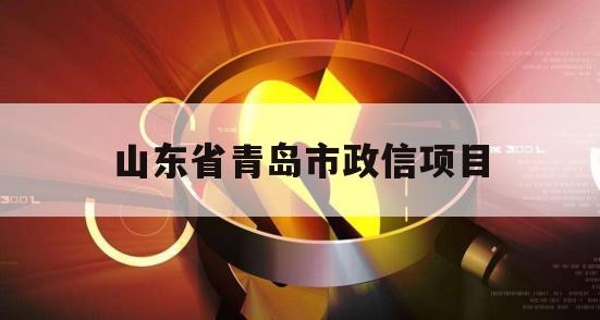 山东省青岛市政信项目