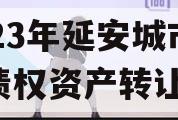 2023年延安城市建投债权资产转让