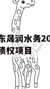山东晟润水务2023年债权项目