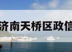 济南天桥区政信