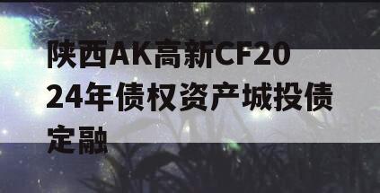 陕西AK高新CF2024年债权资产城投债定融