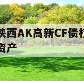 陕西AK高新CF债权资产