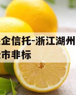 央企信托-浙江湖州地级市非标