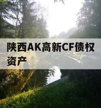 陕西AK高新CF债权资产
