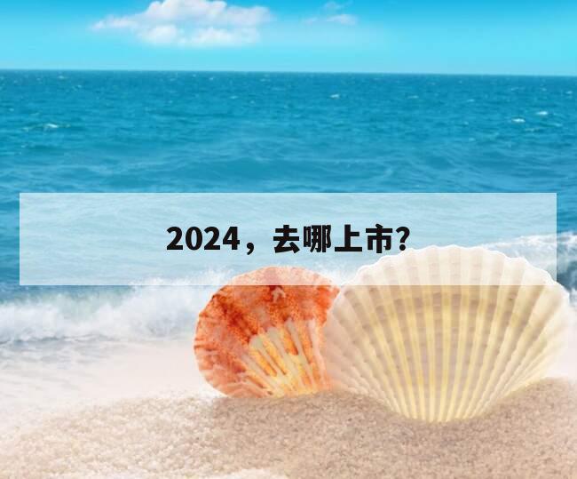 2024，去哪上市？