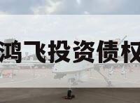 江油鸿飞投资债权资产