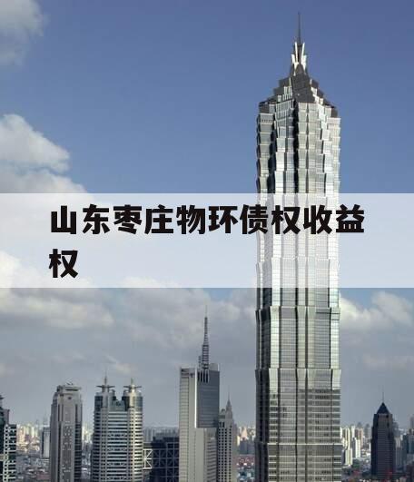 山东枣庄物环债权收益权