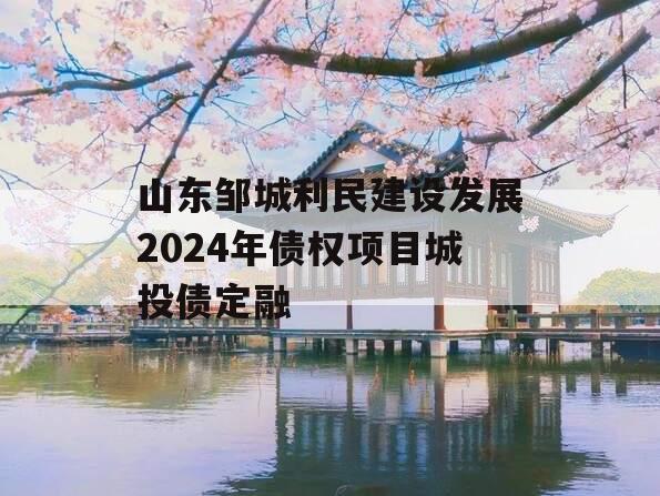 山东邹城利民建设发展2024年债权项目城投债定融