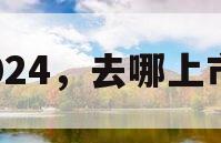 2024，去哪上市？