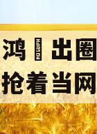 雷军周鸿祎出圈：中年CEO，抢着当网红