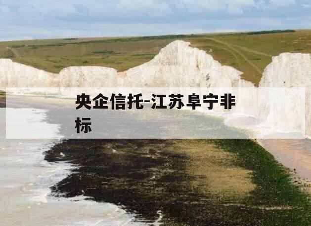央企信托-江苏阜宁非标