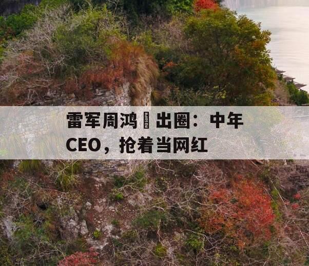 雷军周鸿祎出圈：中年CEO，抢着当网红