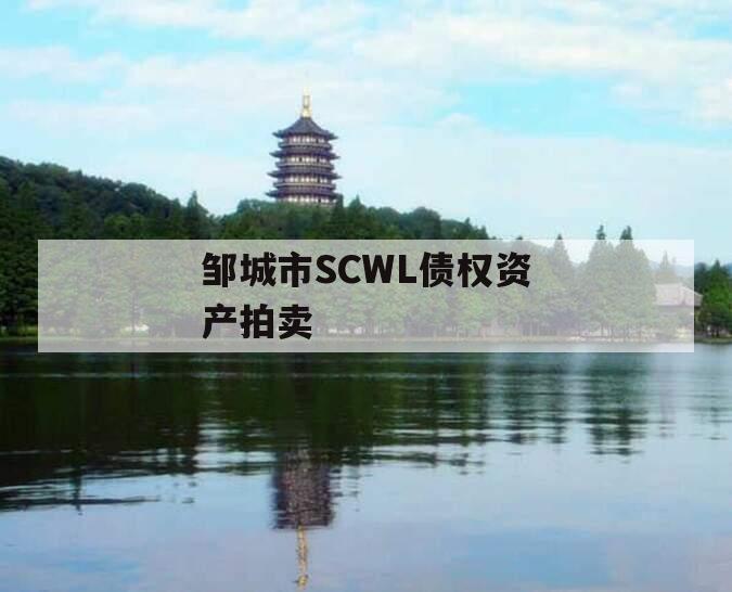 邹城市SCWL债权资产拍卖