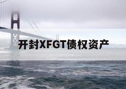 开封XFGT债权资产
