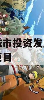江油城市投资发展债权资产项目