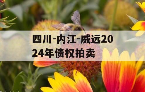 四川-内江-威远2024年债权拍卖