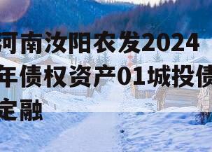河南汝阳农发2024年债权资产01城投债定融