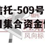 央企信托-509号新沂项目集合资金信托计划