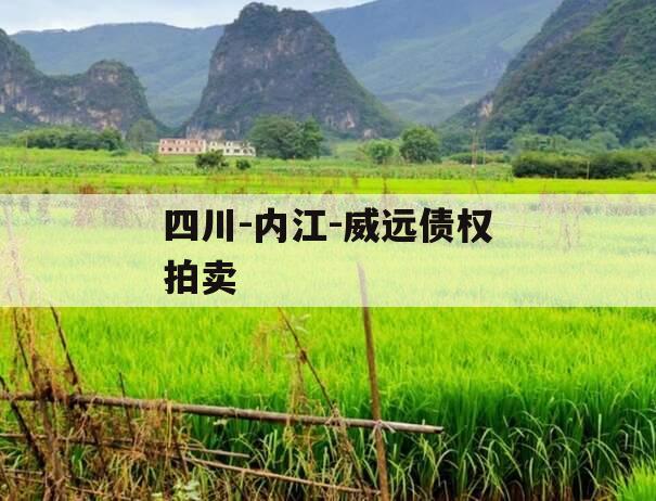 四川-内江-威远债权拍卖