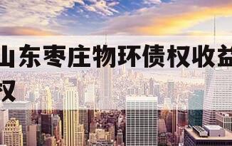 山东枣庄物环债权收益权