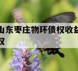 山东枣庄物环债权收益权
