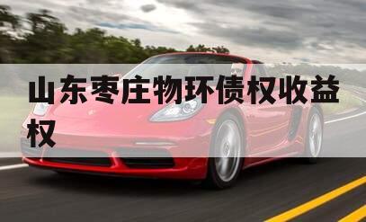 山东枣庄物环债权收益权