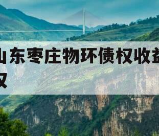 山东枣庄物环债权收益权 山东枣庄物环债权收益权