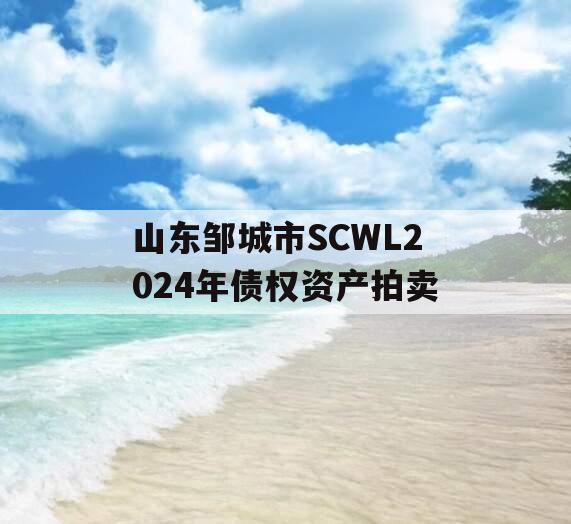 山东邹城市SCWL2024年债权资产拍卖