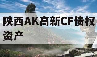 陕西AK高新CF债权资产