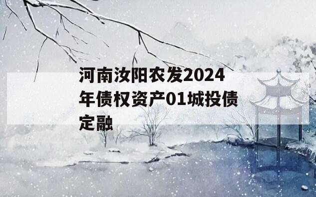 河南汝阳农发2024年债权资产01城投债定融